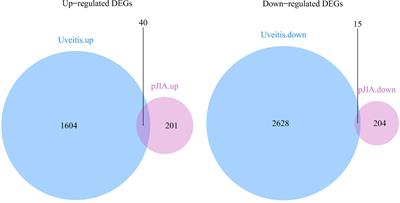 Study of the shared gene signatures of polyarticular juvenile idiopathic arthritis and autoimmune uveitis